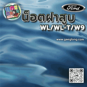 น็อตฝาสูบมาสด้าไฟเตอร์ ฟอร์ด 12 วาล์ว WL 2.5 W9 2.9 ใหม่ครบชุด