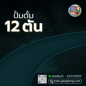🌟 ปั้มดั้ม 12 ตัน #KP1403A